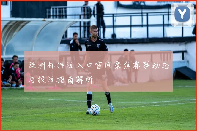 欧洲杯押注入口官网聚焦赛事动态与投注指南解析