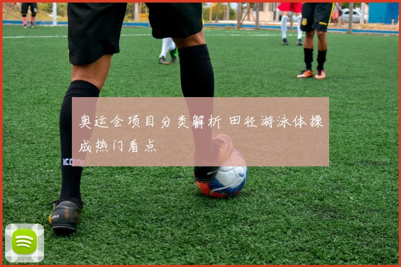 奥运会项目分类解析 田径游泳体操成热门看点