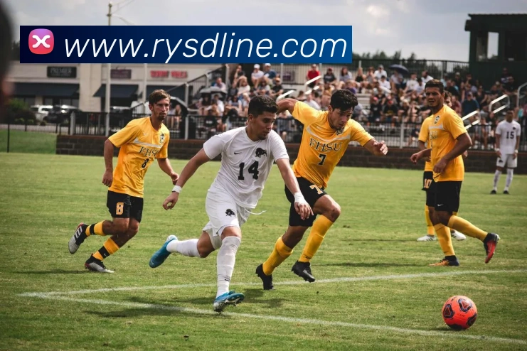 世界杯官方网络平台APP 体育赛事宣传图